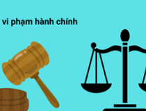 Sở Y tế Hà Nội xử phạt loạt cơ sở vi phạm